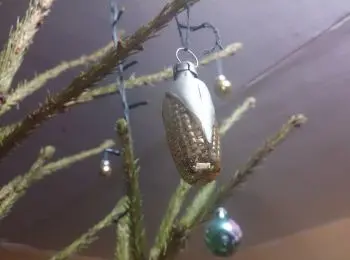 старый новый год собираются встречать 48% россиян - Сайт Газеты «Совершенно Секретно»